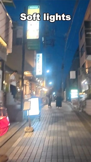 Hidden Streets of Tokyo
