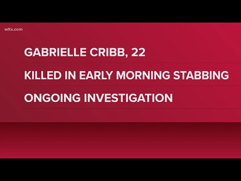 Woman killed in stabbing at home near Gaston
