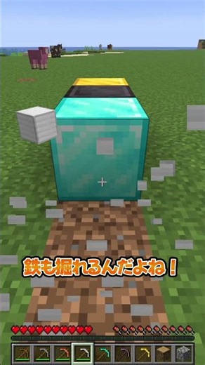 マイクラの謎 #マイクラ #マインクラフト