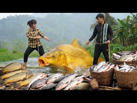 How to Catch Giant River Fish After the Rain with CEO Hùng to Sell – Taking Care of Piglets