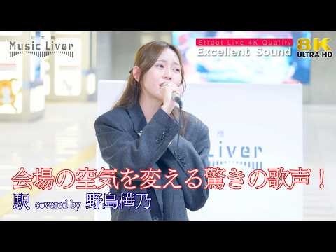 【歌うま】会場の空気を変える驚きの歌声！駅 / 竹内まりや（ covered by 野島樺乃 ）日本橋路上ライブ 🎧推奨 高音質 8K映像