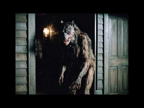 This Dogman Was Filmed in Insane Detail… People Are Freaked Out