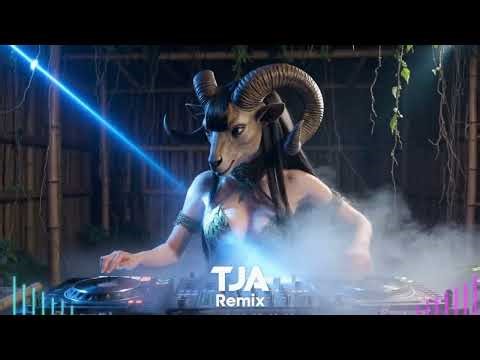 DJ Remix 4K 🔥 Bass Boosted Club Banger | Live DJ Performance 2026 | TJA Remix