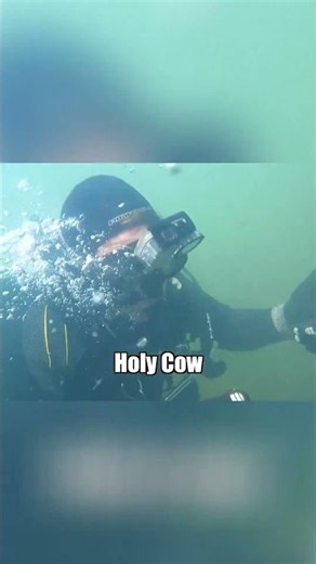 I Almost Didn't Believe My Eyes Underwater 😳 #shorts #scubadiving #shocking