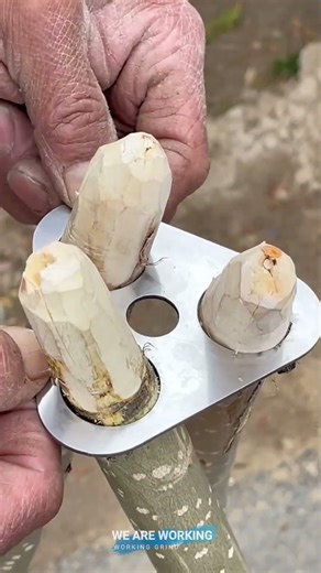 ⚙️ Portable Tripod Cooking Stand for Outdoor Use