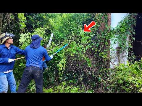 4 Abandoned Houses Nobody Dared to Enter — 70 Minutes of Satisfying Restoration!