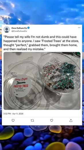 The Great Frosted Trees Incident 😱🌨️ #WinterMystery #ViralShorts #TrendingNow