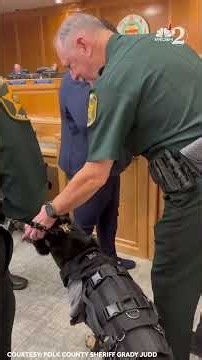 K-9 Ace honored in Polk County after surviving shooting, losing leg