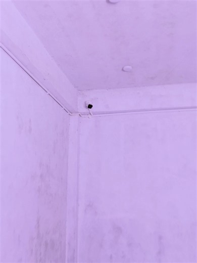CCTV Camera Installation Guide for Home and Business