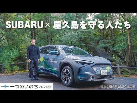 【一つのいのちプロジェクト】SUBARU×屋久島を守る人たち
