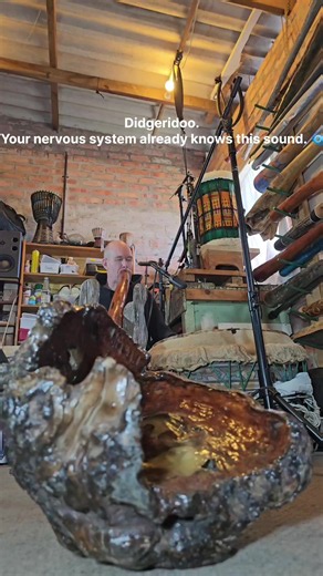 Didgeridoo. Your nervous system already knows this sound. 🌀 #didgeridoo #didgeridoo phonk