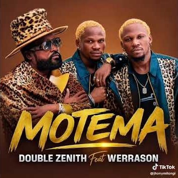 New song Werrason feats with male twins.