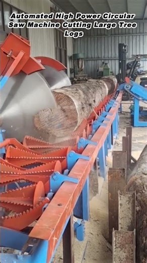 Automated High Power Circular Saw Machine Cutting Large Tree Logs