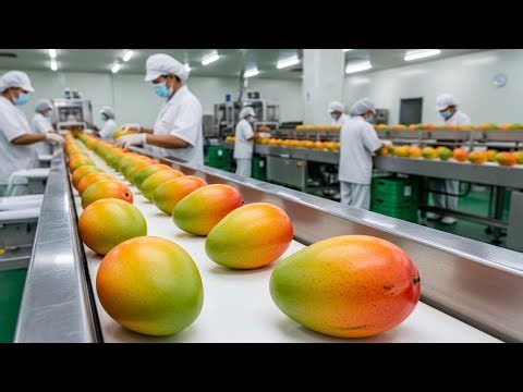 Inside a Modern Mango Juice Factory – From Ripe Mangoes to Bottled Juice (Full Process)*
