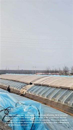 Greenhouse Cleaning: Removing Plastic Sheeting for Maintenance