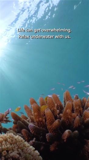 Relaxing Underwater Sounds for Better Sleep