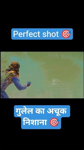 Slingfishing 🐳 Perfect Shot 🏹🐳 #slingshot #slingfishing #fishing #fishlover #fish #fishingvideo