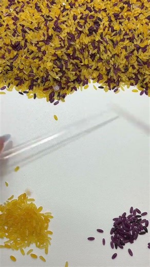 Decimeter Speed Records: Obsessive Dive into the World of High-Speed Decompression