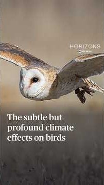 The subtle but profound climate effects on birds