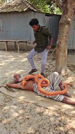 King Cobra Prank on Grandpa! He Thought It Was Real 😱🐍