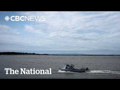 6 people presumed drowned off B.C. coast