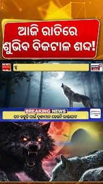 ଆଜି ରାତିରେ ଶୁଭିବ ବିକଟାଳ ଶଦ୍ଦ | Wolf Moon | First Full Moon Of 2026 | Wolf Moon January 2026 news