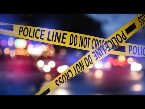 Father charged in 'heartbreaking' stabbing death of 4-year-old | FOX 5 News