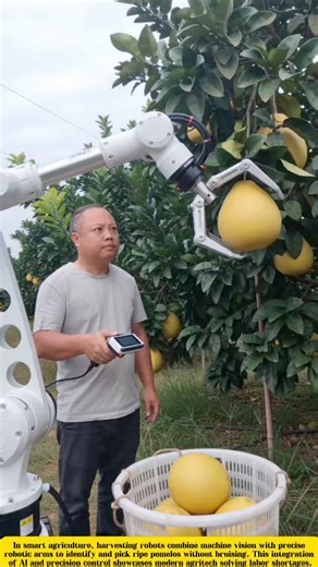 The Future of Farming: How Robotic Arms Are Revolutionizing Fruit Harvesting