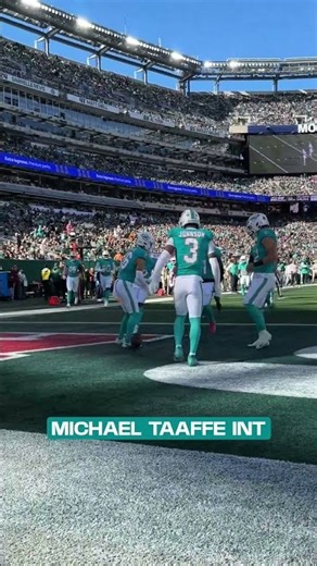 Taken away by Michael Taaffe! 🏈 #nfl #miamidolphins #football