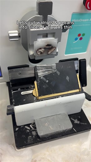 Cutting pecans & walnuts on the microtome! We know you guys love the microtome sound. Stay tuned to see what they look like under the microscope! Any predictions? Instrument featured: Milestone’s Automated Microtome – message us today or check out the link in our bio to learn more! #microtome #histology #pathology #microtomy #lablife