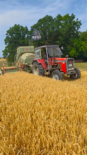 MF 274 S mit Claas Automatic Mähdrescher🧡💚