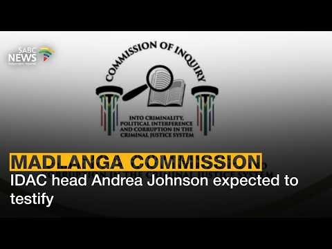 Madlanga Commission | IDAC's Andrea Johnson expected to take the stand