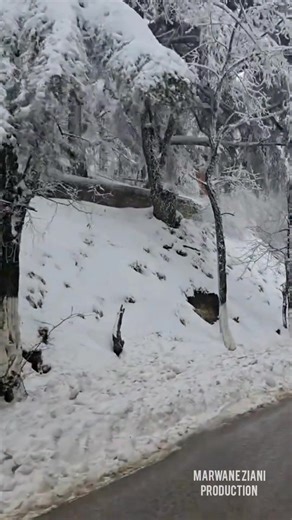 El Hadi Boukoura #videoreelsシ #fyp #chaabi #facebookreelsvideo #radio #sorties #reelschallenge #livemusic #music #radio #chaabimusic #art #artist #LiveShow #livemusic #jeunesse #radioshow #alger #vintagestyle #alger #facebookpost #musique #radio #artist #LiveShow #challenge #algeria #musica #fypシ゚ #youtubeshorts #facebookreel #sorties #radioalger #night #radio #fyp #challenge | Layali el bahdja