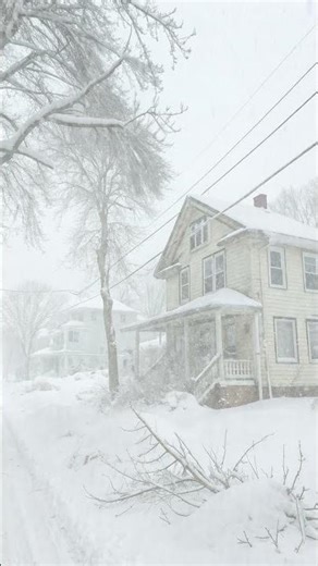 Blizzard Night Sounds ❄️ Deep Sleep & Relaxation #shorts #snow #snowstorm