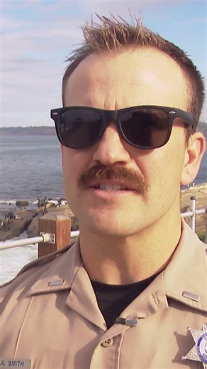 'Look, don't touch' | Protecting marine life in San Diego