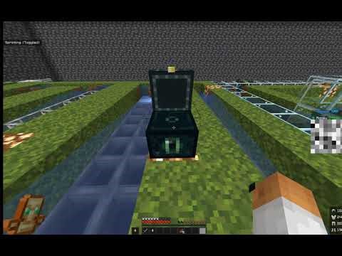 DONUT SMP DUPE GLITCH 2026 (UNPATCHED)