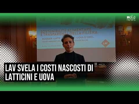 LAV presenta a Roma i dossier "Latte versato" e "Uova d'oro" e svela i costi nascosti