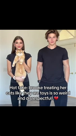 This is so weird #brooke #cats #pet #influencer #gossip | cats