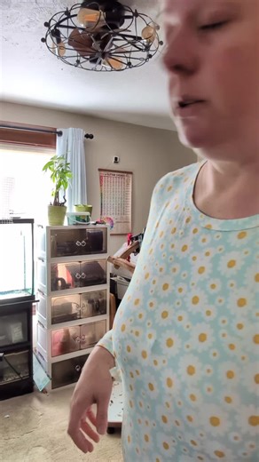 Furby the Birb Assists in Cleaning Sheldon the Turtle Tank