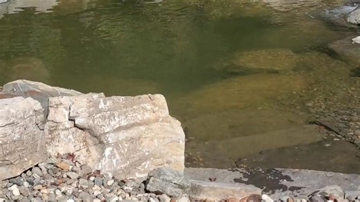 Chemical Free Natural Swim Ponds on All Scales - Recreation Ponds at their finest done Bio-Fusion Designs Style. #recreationponds #naturalswimmingpools #naturalwaterfeatures #swimponds #ponds #outdoorliving #outdoorrecreation #backyardgoals #backyarddesign #pond #pondlife #biofusiondesigns | Bio-Fusion Designs