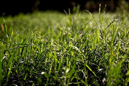 Will it be cold all week? How warm it will get in Michigan