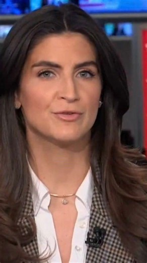 Kaitlan Collins says midterms turn 'extremely ugly' as Trump argues with hecklers