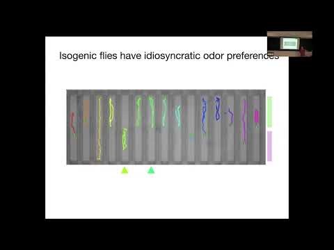 Ben de Bivort | Bayesian Inference on biophysical models of connectomes