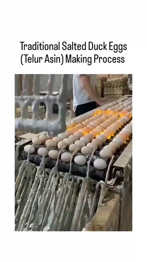 TrendSnap on Instagram: "The post features a viral video demonstrating the traditional production of salted duck eggs (telur asin), where fresh eggs are coated in a thick clay-salt paste that resembles cement, then dried and cured for 3-4 weeks to infuse flavor and preserve them. This method, rooted in Asian culinary practices, draws from peer-reviewed food science studies showing the alkaline coating prevents spoilage while enhancing yolk color and saltiness, contrasting modern factory egg proc