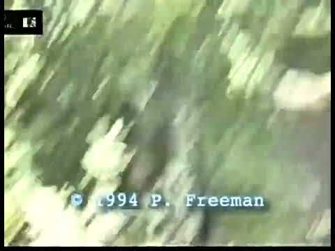 The 1994 Paul Freeman footage
