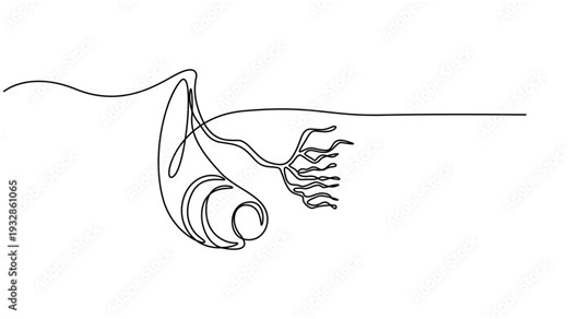 Cross-section of artery with blood cells flowing inside medical illustration healthcare biology anatomy continuous one line drawing animation