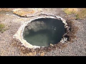 Broken Egg Spring (2025)