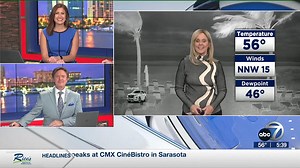 Chilly, but sunny today: | ABC7 Sarasota - WWSB