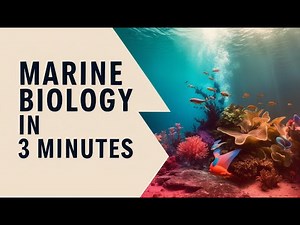 Marine Biology in 3 Minutes