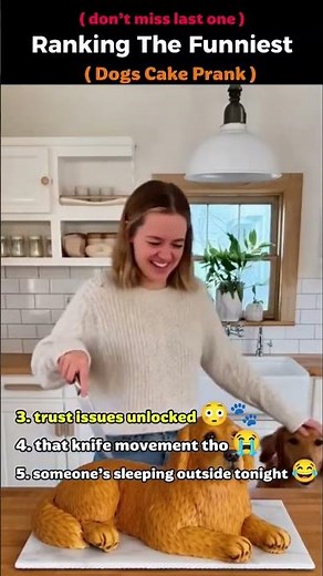 Ranking the Funniest Dogs Cake Prank Moments
